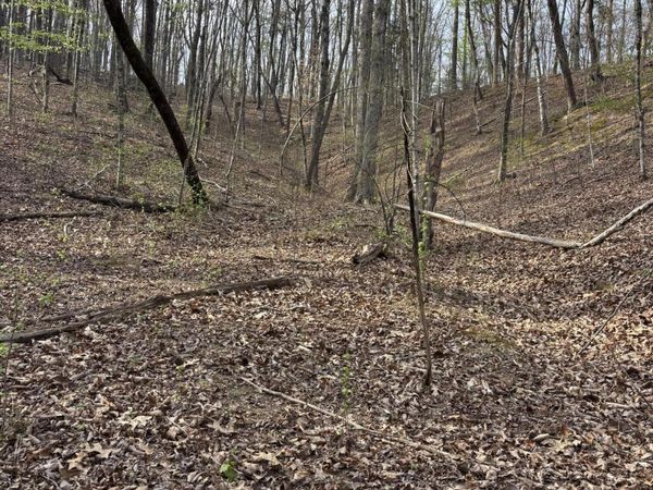 408 Back Valley Road , Sale Creek, TN 37373