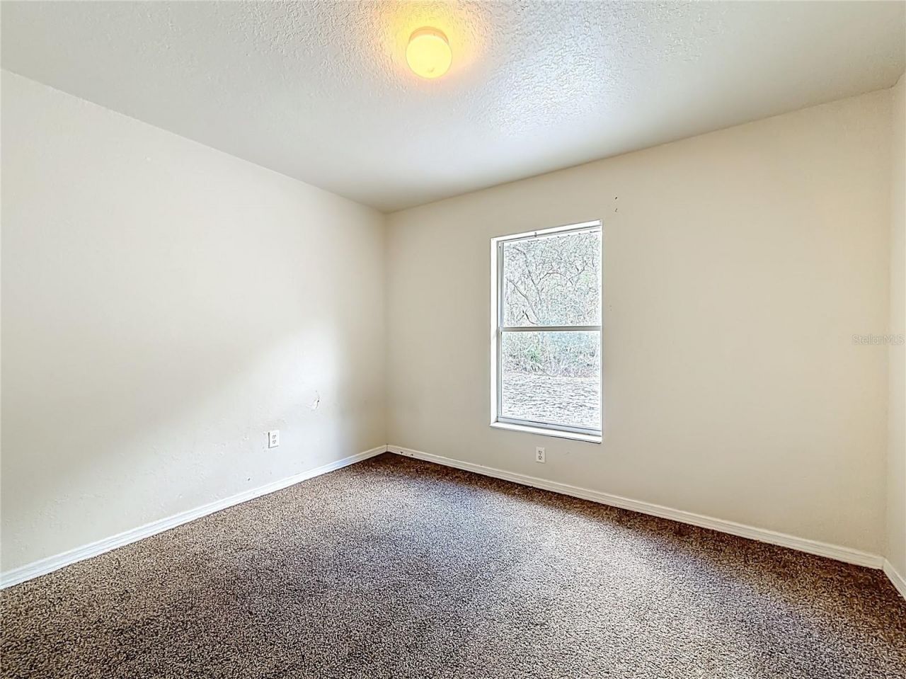 50 Malauka Pass Course , Ocklawaha, FL 32179 Photo