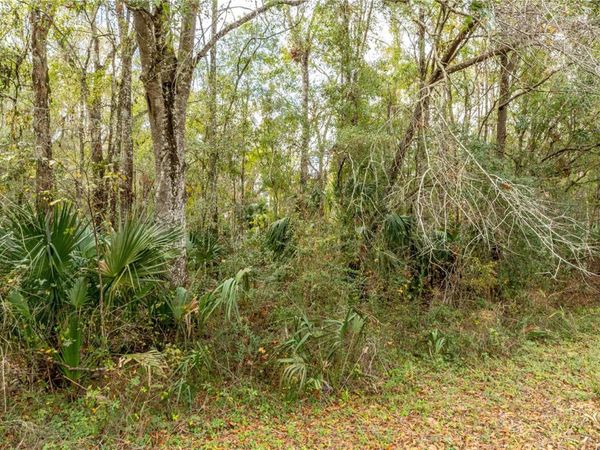 LAKE LINDSEY TRACT 2 ROAD , BROOKSVILLE, FL 34601