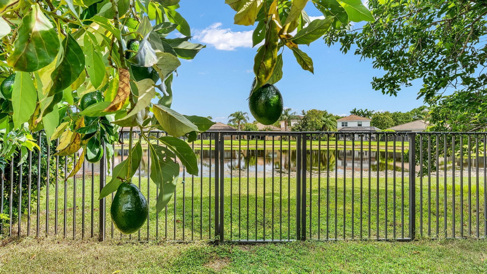 8292 Calabria Lakes Drive, Boynton Beach, FL 33473 Photo