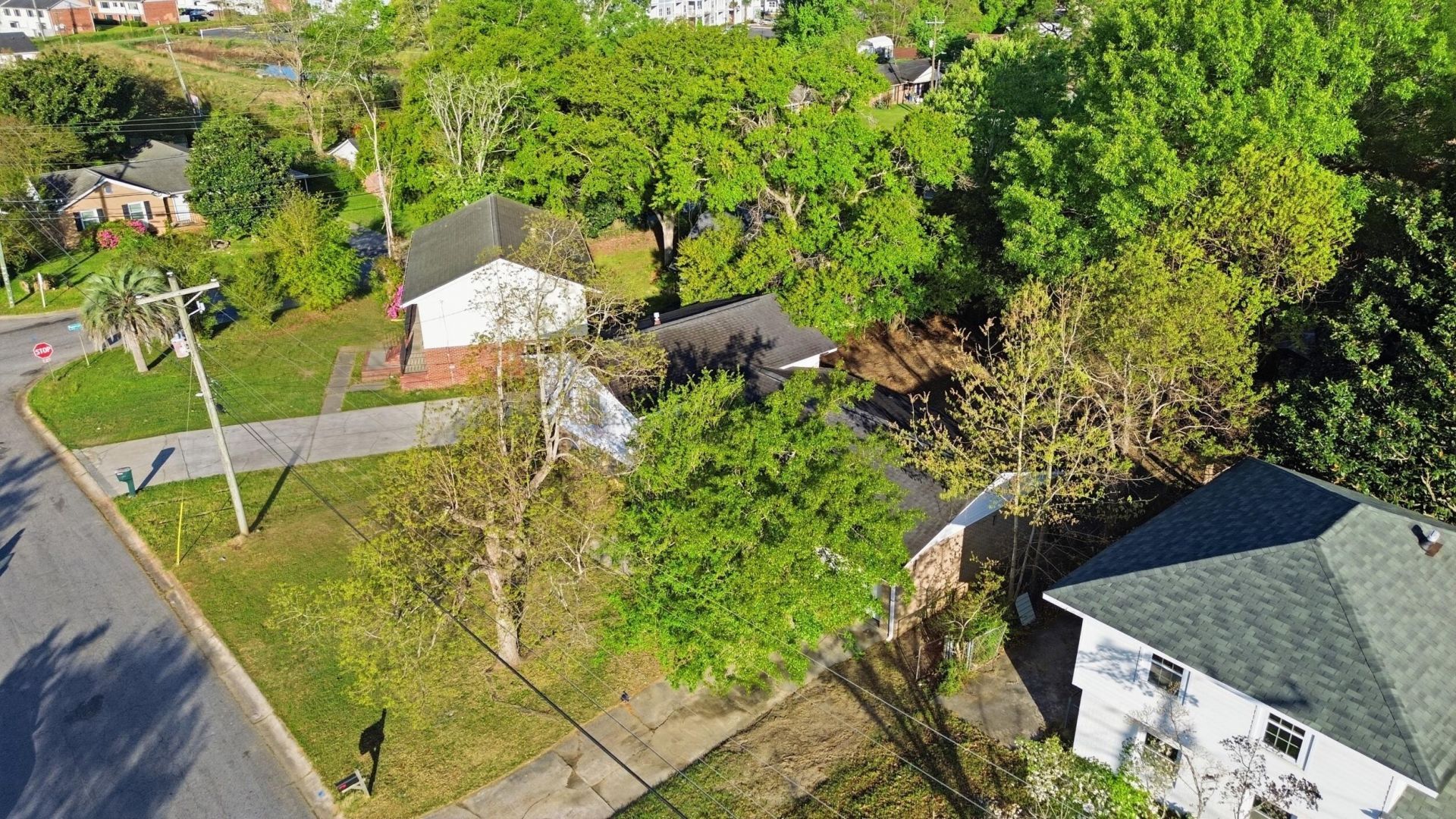 3358 Mountainbrook Avenue Photo 44