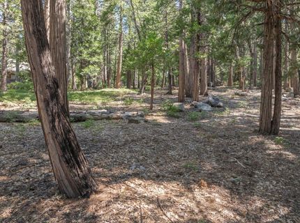 926 Shoshone, Camp Connell, CA 95223 Photo