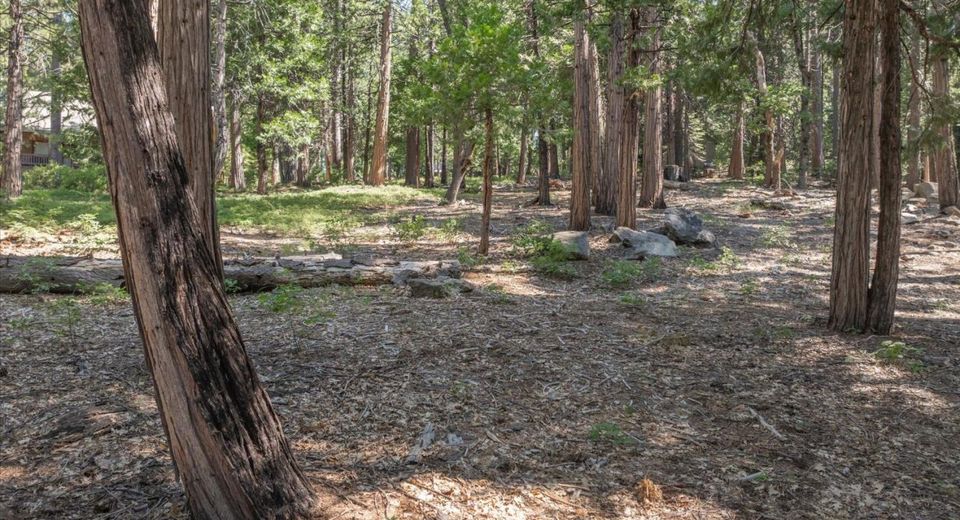 926 Shoshone, Camp Connell, CA 95223 Photo