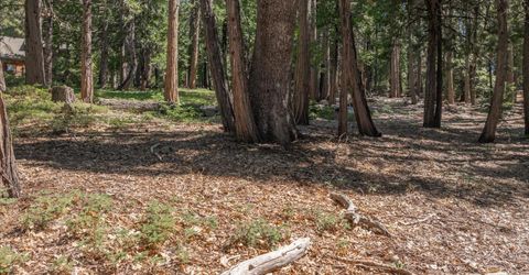 926 Shoshone, Camp Connell, CA 95223 Photo