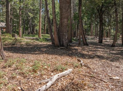 926 Shoshone, Camp Connell, CA 95223 Photo