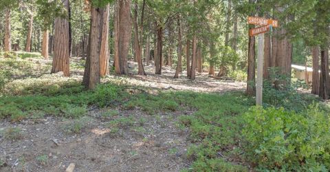 926 Shoshone, Camp Connell, CA 95223 Photo