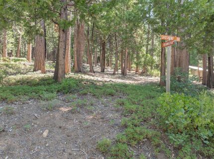 926 Shoshone, Camp Connell, CA 95223 Photo