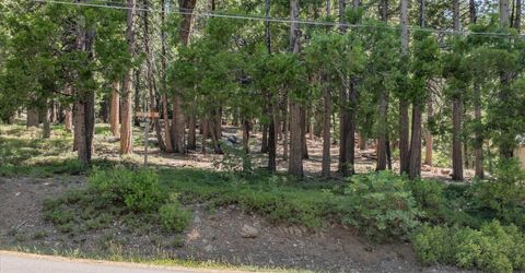 926 Shoshone, Camp Connell, CA 95223 Photo