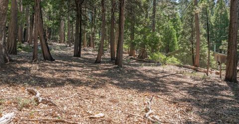 926 Shoshone, Camp Connell, CA 95223 Photo