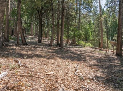 926 Shoshone, Camp Connell, CA 95223 Photo