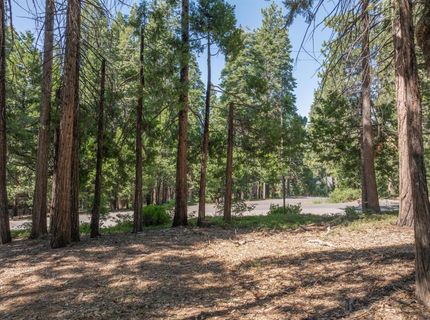 926 Shoshone, Camp Connell, CA 95223 Photo