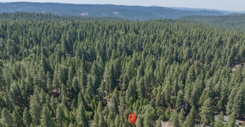 926 Shoshone, Camp Connell, CA 95223 Photo