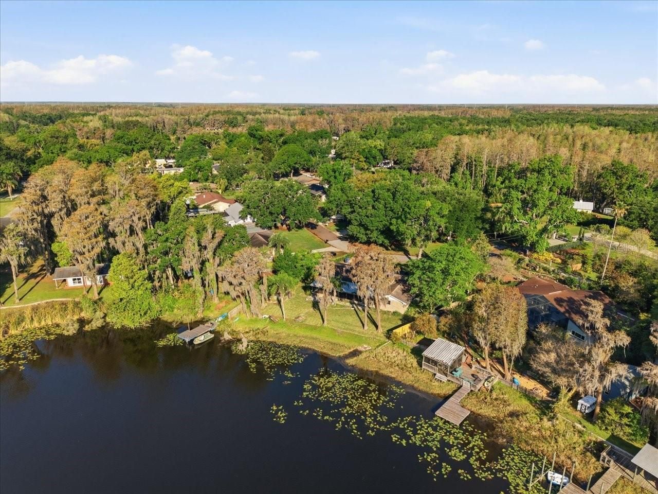 700 Druid Way, Lutz, FL 33548 Photo