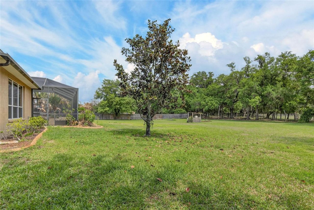 9454 Swift Creek Circle , Dover, FL 33527 Photo