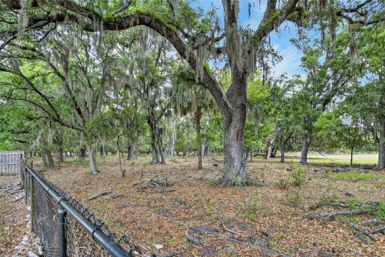 9454 Swift Creek Circle , Dover, FL 33527 Photo