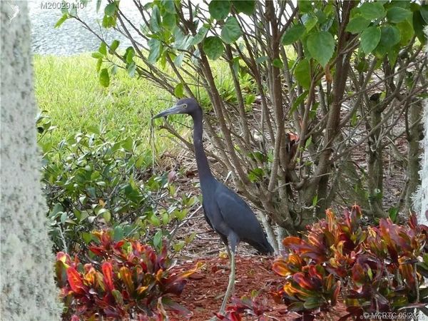 219 NW Chipshot Lane, Port St Lucie, FL 34986