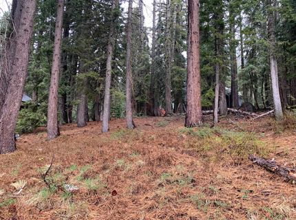 4036 Courchevel Road, Tahoe City, CA 96145 Photo