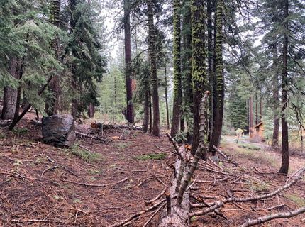 4036 Courchevel Road, Tahoe City, CA 96145 Photo