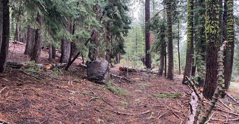 4036 Courchevel Road, Tahoe City, CA 96145 Photo