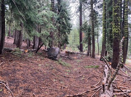 4036 Courchevel Road, Tahoe City, CA 96145 Photo