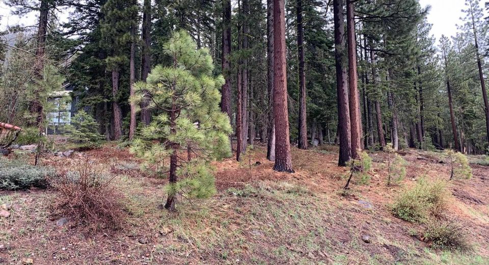 4038 Courchevel Road, Tahoe City, CA 96145 Photo