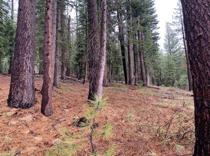 4038 Courchevel Road, Tahoe City, CA 96145 Photo