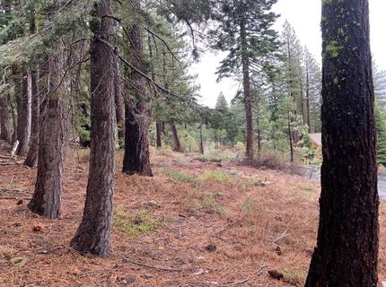 4038 Courchevel Road, Tahoe City, CA 96145 Photo