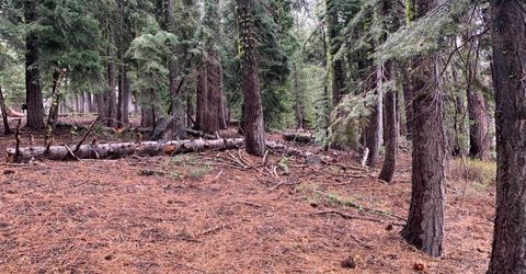 4038 Courchevel Road, Tahoe City, CA 96145 Photo