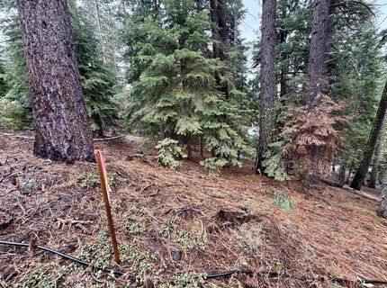 970 Ward Creek Blvd, Tahoe City, CA 96145 Photo