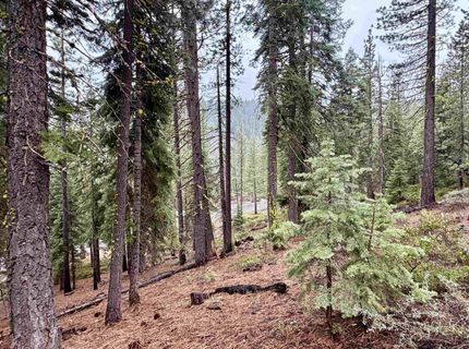 970 Ward Creek Blvd, Tahoe City, CA 96145 Photo