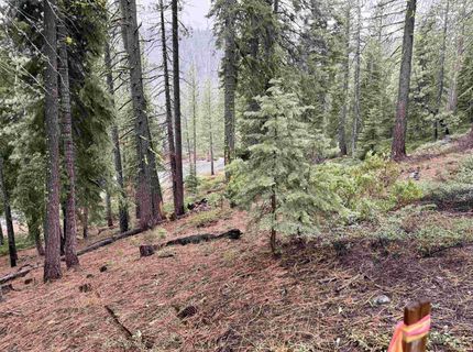 970 Ward Creek Blvd, Tahoe City, CA 96145 Photo