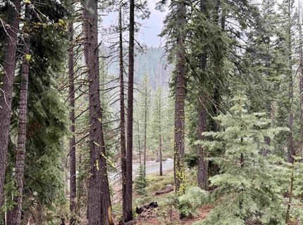 970 Ward Creek Blvd, Tahoe City, CA 96145 Photo