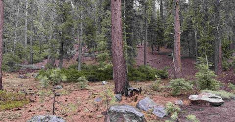 970 Ward Creek Blvd, Tahoe City, CA 96145 Photo