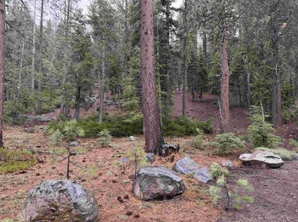 970 Ward Creek Blvd, Tahoe City, CA 96145 Photo