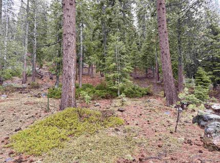 970 Ward Creek Blvd, Tahoe City, CA 96145 Photo