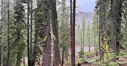 970 Ward Creek Blvd, Tahoe City, CA 96145 Photo