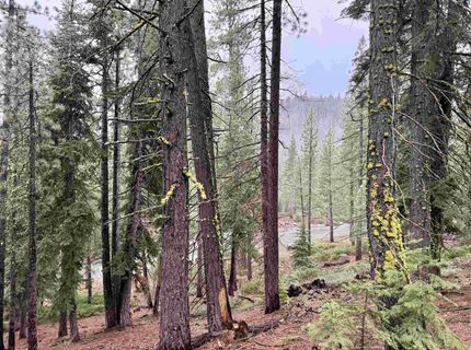 970 Ward Creek Blvd, Tahoe City, CA 96145 Photo