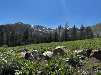 970 Ward Creek Blvd, Tahoe City, CA 96145 Photo