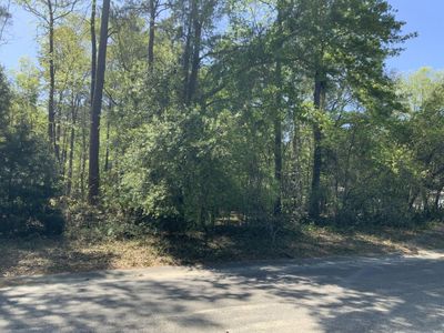 0 Ash Hill Drive, Eutawville, SC 29048