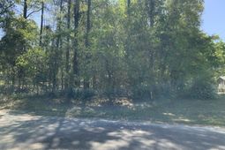 0 Ash Hill Drive photo 4