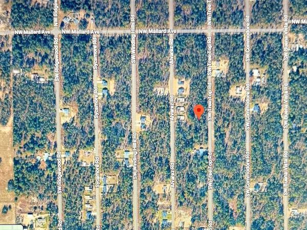 206 SW Tree Top Road , Dunnellon, FL 34431