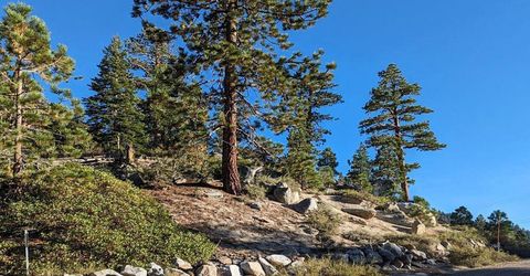 4273 Saddle Road, South Lake Tahoe, CA 96150 Photo