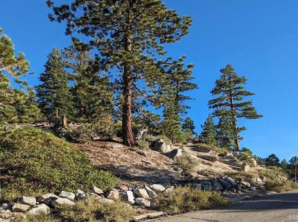 4273 Saddle Road, South Lake Tahoe, CA 96150 Photo