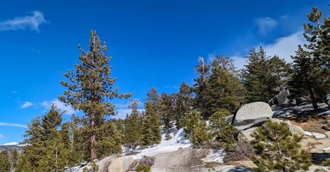 4273 Saddle Road, South Lake Tahoe, CA 96150 Photo