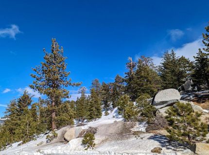 4273 Saddle Road, South Lake Tahoe, CA 96150 Photo