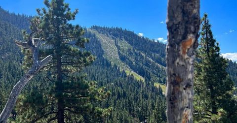4273 Saddle Road, South Lake Tahoe, CA 96150 Photo
