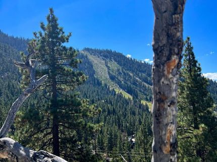 4273 Saddle Road, South Lake Tahoe, CA 96150 Photo