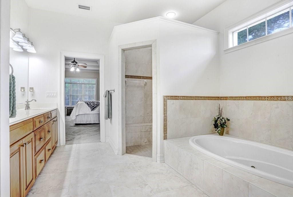 3418 Paso Fino Lane, Dover, FL 33527 Photo