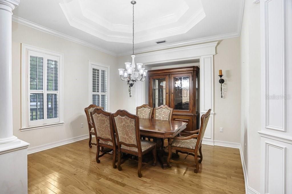 3418 Paso Fino Lane, Dover, FL 33527 Photo