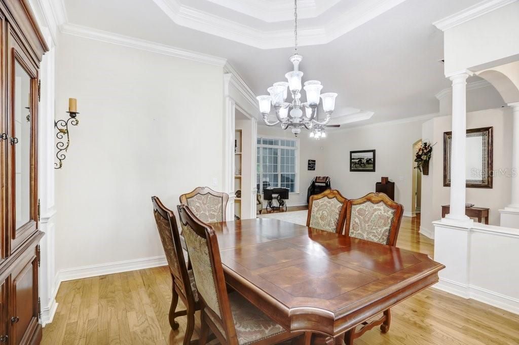 3418 Paso Fino Lane, Dover, FL 33527 Photo